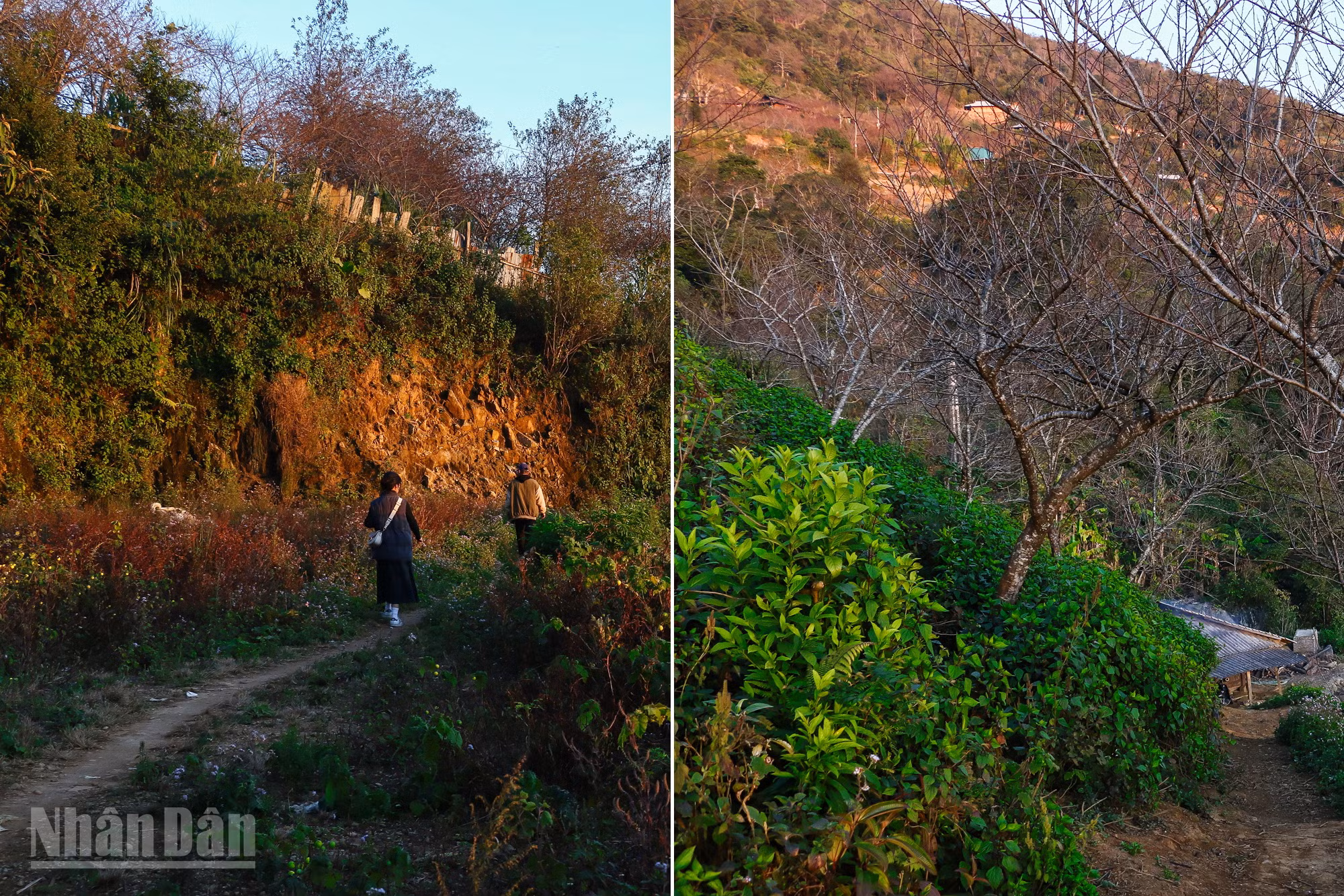 Tà Xùa et Hang Dông sont d’excellentes destinations de trekking pour les amateurs d’aventure.