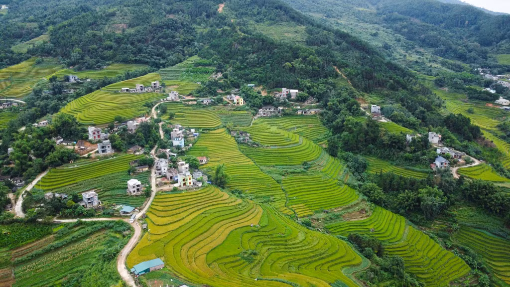 Binh Lieu a valorisé l'identité culturelle des groupes ethniques pour développer le tourisme, en associant le tourisme à la promotion des cultures traditionnelles des groupes ethniques locales. Photo : baoquangninh. Binh Lieu a valorisé l'identité culturelle des groupes ethniques pour développer le tourisme, en associant le tourisme à la promotion des cultures traditionnelles des groupes ethniques locales. Photo : baoquangninh.