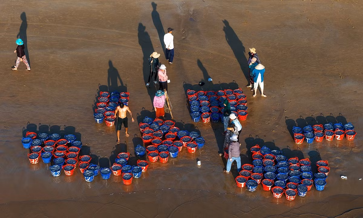 Les commerçants entament les négociations sur place pour obtenir les produits qui leur conviennent. Photo : Vnexpress.