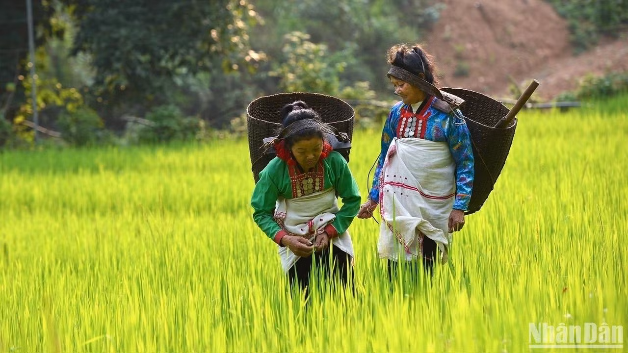 Une culture ethnique singulière et remarquable. Photo: Vu Linh