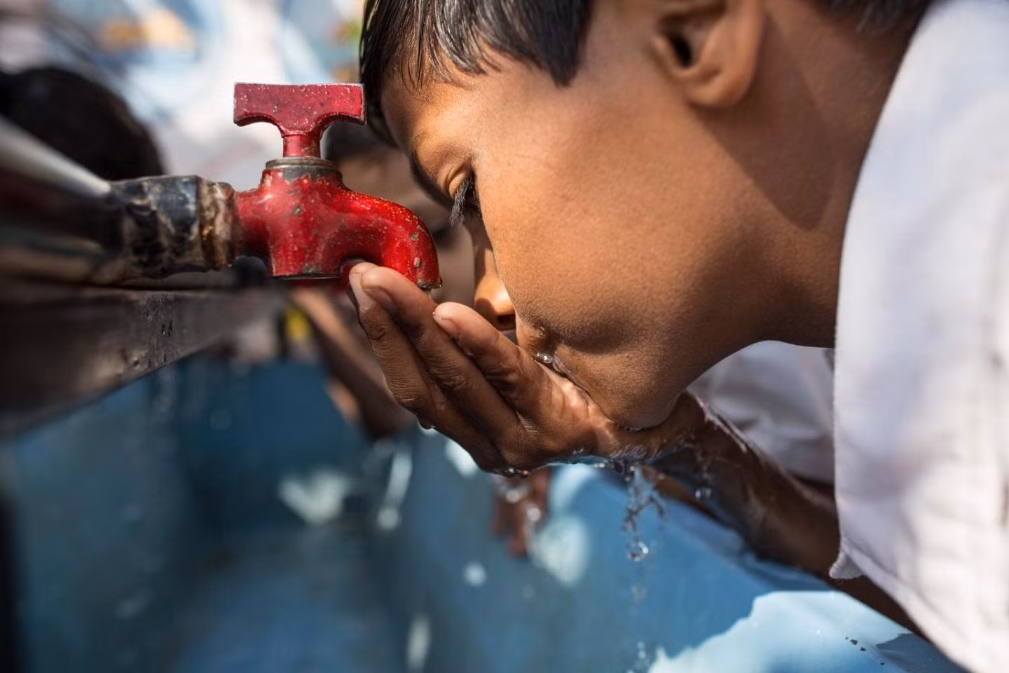 Vers le Net Zéro : "Renaissance" des ressources en eau