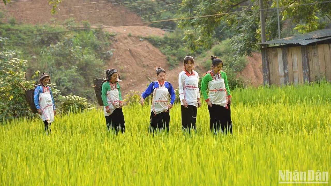 Femmes Mang en costume traditionnel. Photo: Vu Linh