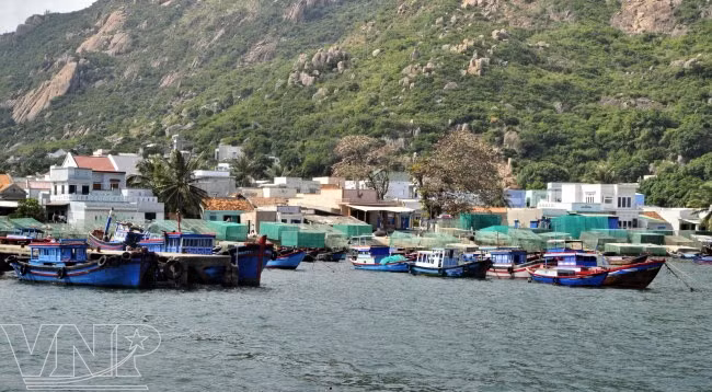 Île de Binh Ba ảnh 1 Île de Binh Ba ảnh 1