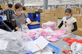 Les secteurs du textile-habillement, du bois et de l’agriculture cherchent également à stimuler leur croissance en misant sur l’amélioration de la qualité des produits plutôt que sur la seule augmentation des volumes. Photo : VNA.