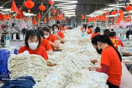 Le Vietnam exporte vers la Belgique de nombreux produits phares, notamment des chaussures, des équipements informatiques, des produits textiles et des produits aquatiques. Photo d’illustration : VNA.