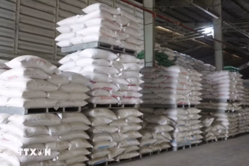 Les exportations vietnamiennes devraient atteindre 8 millions de tonnes cette année. Photo: VNA