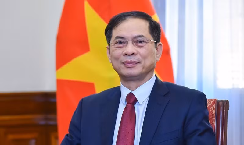 Le comité sera présidé par le vice-Premier ministre et ministre des Affaires étrangères, Bui Thanh Son. Photo : VGP.
