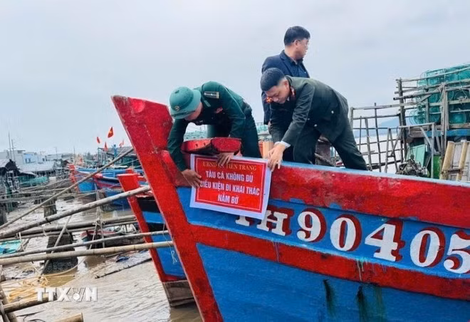 Les autorités des provinces côtières contrôlent les activités des navires de pêche qui ne respectent pas les exigences en matière d'opérations de pêche. Photo : VNA.