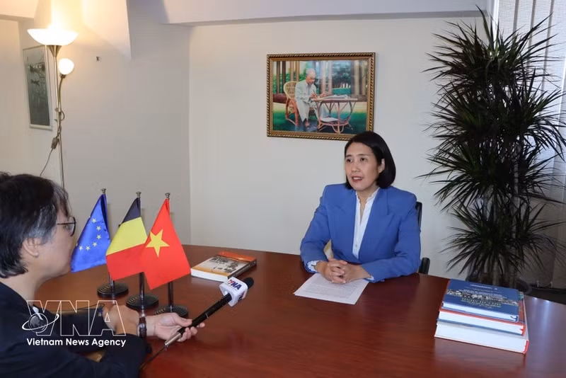 L’ambassadrice du Vietnam en Belgique et cheffe de la Mission du Vietnam auprès de l’UE, Nguyen Huong Tra, répond à une interview de l’Agence vietnamienne d’information. Photo : VNA.