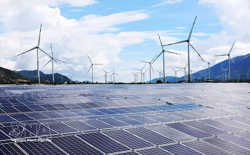 Ca Mau mise sur les énergies renouvelables, notamment l’éolien en mer et près des côtes, afin de contribuer à l’approvisionnement du réseau électrique national. Photo : VNA.