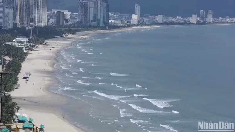 La plage de My Khe (Da Nang), une destination prisée pour la détente et la baignade, s’étend sur environ 900 mètres et se distingue par sa longue plage de sable propre. Photo : NDEL.