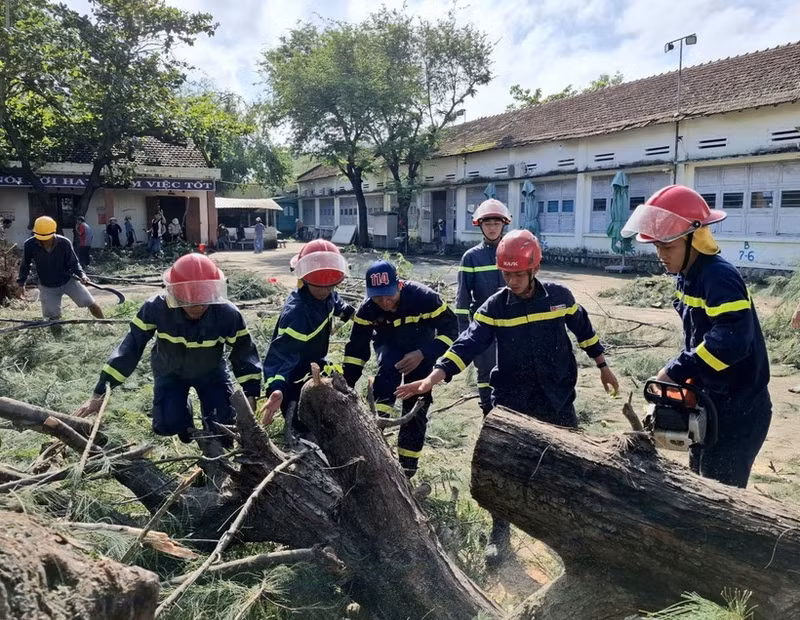Un arbre tombé près du lycée Nguyen Hong Son, dans le quartier de Xuan Dai, province de Dak Lak, a été dégagé. Photo : VNA.