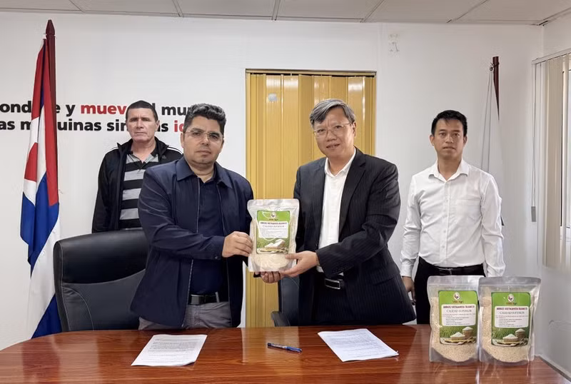 Des représentants du gouvernement vietnamien et de l’entreprise rizicole AgriVMA ont remis 250 tonnes de riz au titre d’une aide non remboursable destinée à la partie cubaine. Photo : VNA.