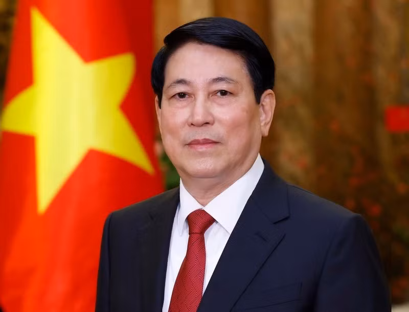 Le président vietnamien, Luong Cuong. Photo : VNA.