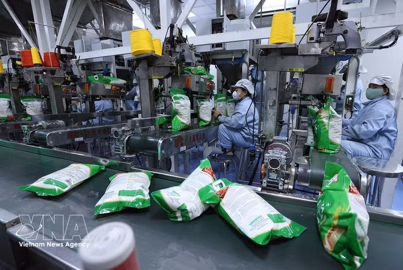 Conditionnement de riz destiné à l’exportation à l’usine de la SARL Vinh Phat Wilmar Rice, dans le quartier de Binh Duc, province d’An Giang. Photo : VNA.