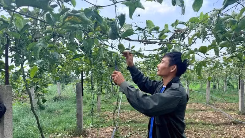 Grâce aux financements bancaires, de nombreux agriculteurs ont investi dans la modernisation de leurs équipements et l’extension de leurs exploitations.