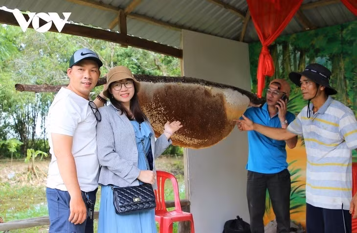 Le miel de la forêt d’U Minh Ha figure parmi les 100 cadeaux les plus prisés du Vietnam.