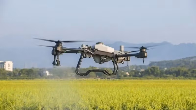 Un drone est utilisé pour pulvériser des produits phytosanitaires sur une rizière lors d'une démonstration organisée par AgriDrone Vietnam. (Photo : AgriDrone Vietnam) 