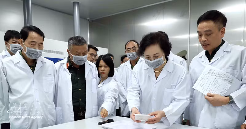La secrétaire du Comité central du Parti et vice-Première ministre, Pham Thi Thanh Tra, examine des échantillons biologiques prélevés sur des restes de soldats morts pour la Patrie, conditionnés selon les normes et procédures nationales en vigueur. Photo : VNA 