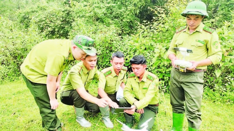 Les agents forestiers de la province de Son La utilisent des équipements technologiques et des logiciels pour la gestion, la surveillance et la protection des forêts. 