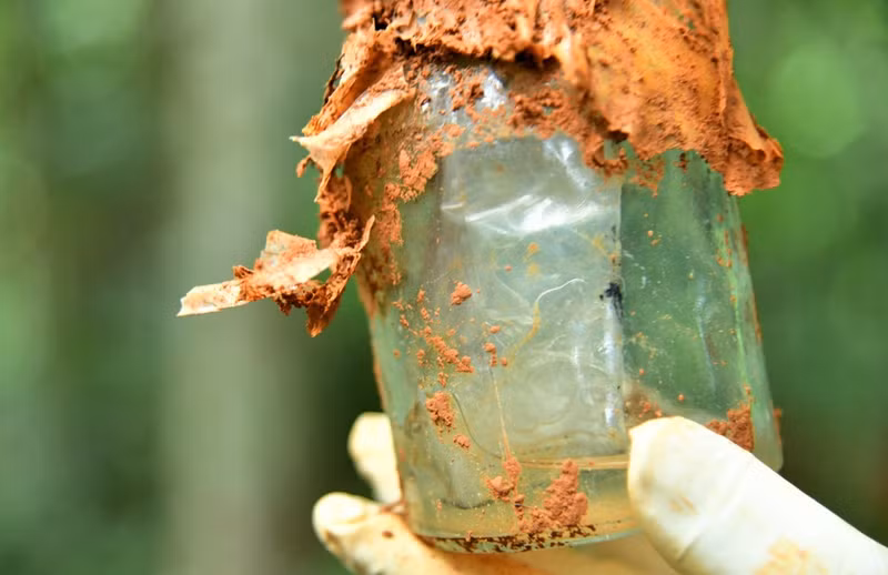 Le flacon en verre enterré avec la dépouille contenait un document portant le nom de Nguyen Van Vuong. (Photo : Groupement économico-défense 337)