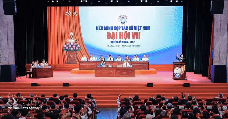 7e Congrès de l'Alliance des coopératives du Vietnam pour le mandat 2026-2031. Photo : VNA 