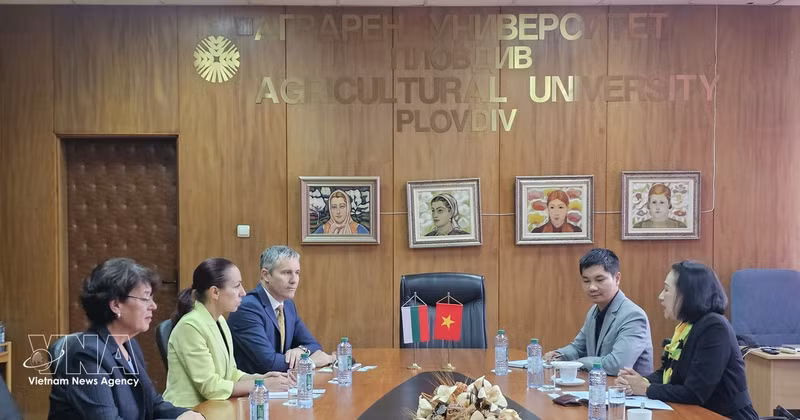 L’ambassadrice du Vietnam en Bulgarie, Nguyen Thi Minh Nguyet, a rencontré les dirigeants de l’Université agronomique de Plovdiv afin de renforcer la coopération bilatérale dans la formation, la recherche scientifique et le transfert de technologies agricoles. Photo : VNA. 