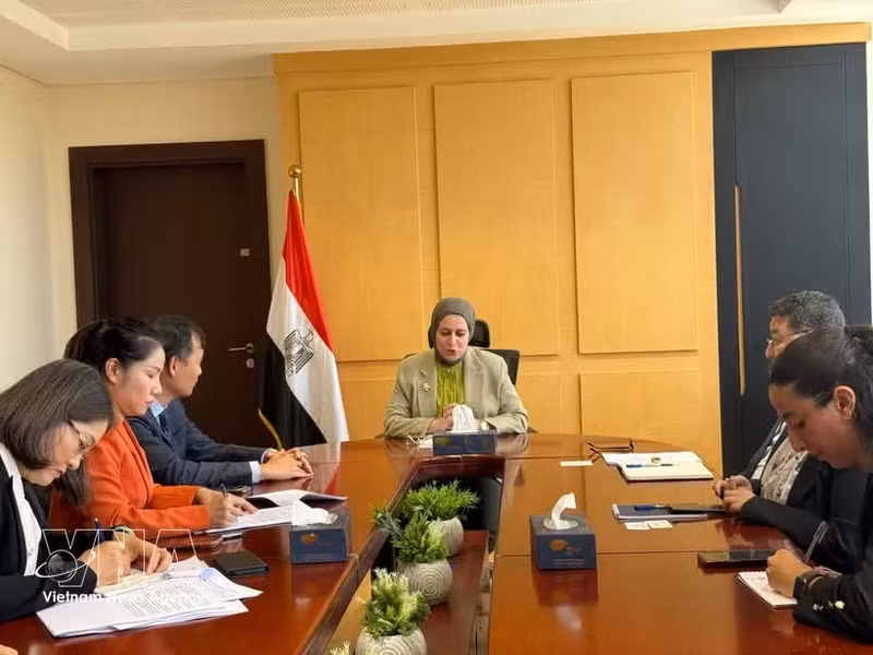 La réunion entre l’ambassadeur du Vietnam en Égypte, Nguyen Nam Duong, et la vice-ministre égyptienne des Affaires étrangères chargée de la coopération internationale, Samar Al-Ahdal. Photo : VNA. 