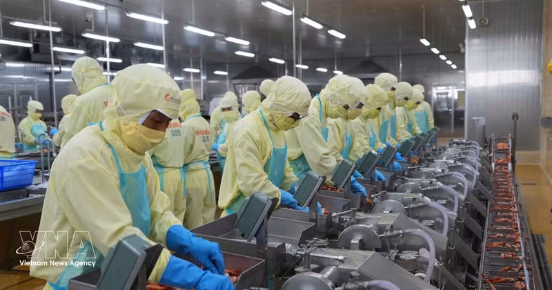 Au 15 octobre 2026, le montant cumulé des échanges de marchandises du Vietnam, à l’exportation comme à l’importation, atteignait 945 milliards de dollars, en hausse de 31,4 % sur un an. Photo : VNA.