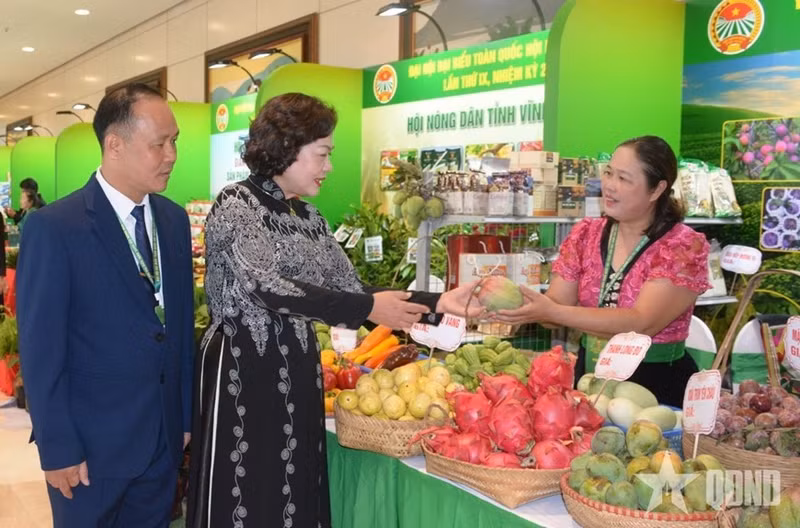 La vice-présidente de l'Assemblée nationale, Nguyen Thi Hong, et des délégués visitent le stand présentant les produits agricoles de la province de Son La ayant obtenu le label OCOP (Une commune, un produit), exposé lors du 9e Congrès national de l'Association des agriculteurs du Vietnam (mandat 2026-2031). Photo : qdnd.vn 