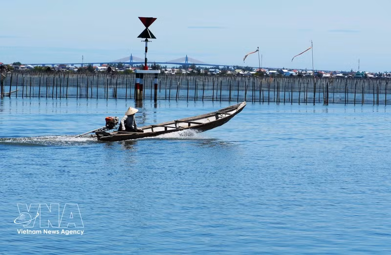 La vie paisible au milieu des eaux limpides de la lagune de Dam Chuon, dans la ville de Hue. Photo : VNA