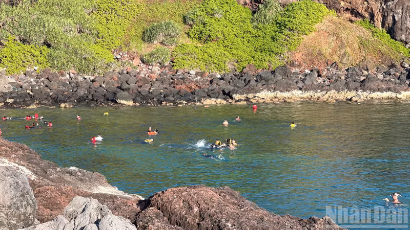Des touristes se baignent et plongent à Hon Tranh.