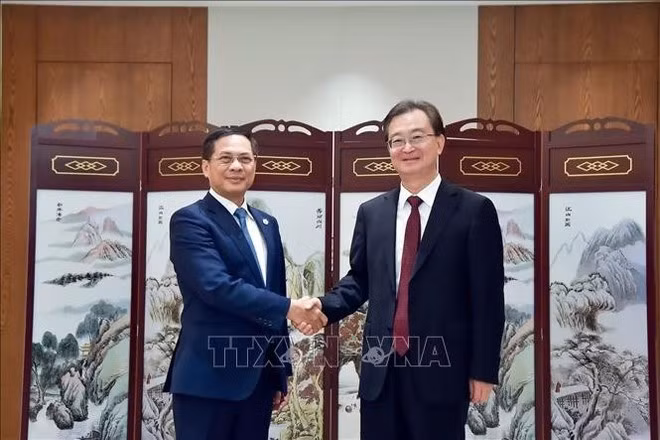 Bui Thanh Son (gauche) et Wang Ning. Photo : VNA.