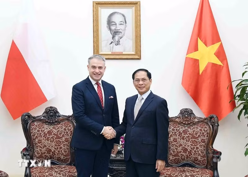 Le vice-Premier mnistre vietnamien Bui Thanh Son (à droite) et le vice-Premier ministre polonais et ministre des Affaires digitales, Krzysztof Gawkowski. Photo: VNA.