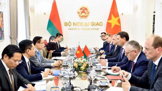 Panorama de l'entretien. Photo : ministère vietnamien des Affaires étrangères.