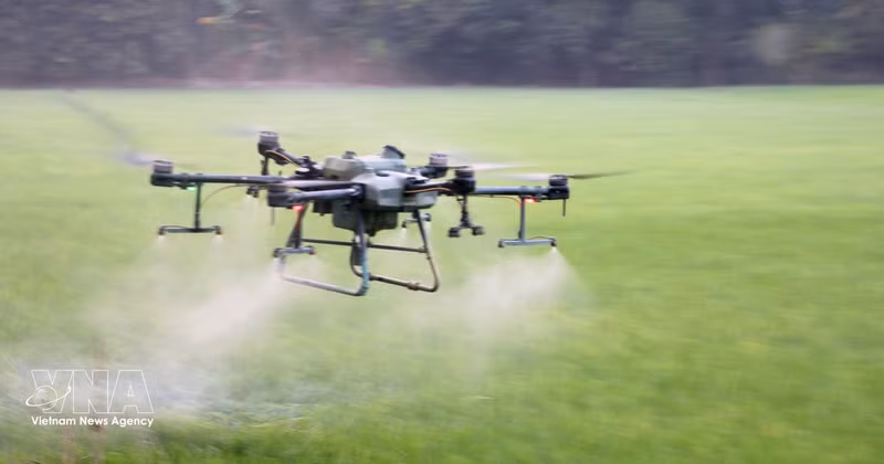 Agriculteurs d’An Giang utilisant des drones pour l’épandage de produits phytosanitaires, permettant de réduire les coûts, les efforts et le temps. Photo : VNA.