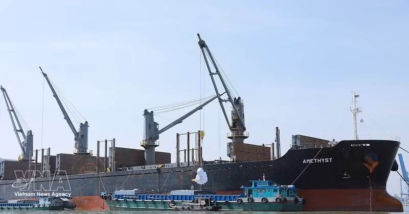 En septembre, le commerce extérieur de marchandises a atteint 117,69 milliards de dollars, en hausse de 7,3 % par rapport à août et de 42,4 % sur un an. Photo : VNA.