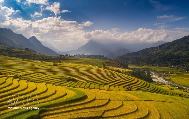 La beauté envoûtante de Sa Pa pendant la saison des récoltes de riz. Photo : VNA. 