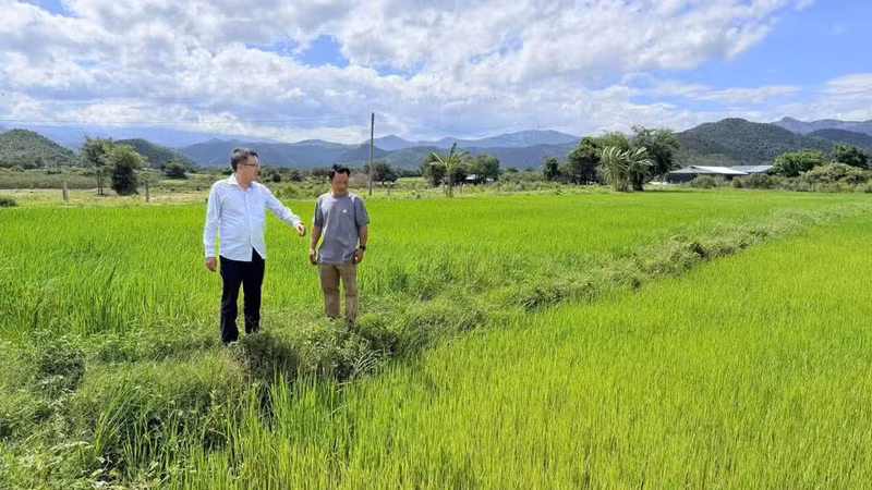 Le président du Comité populaire de la commune de Phan Son, Mai Hong Dang, visite le modèle de la coopérative de riz Me Phan Lam. (Photo : Thanh Hai)