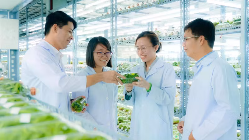 Orchidées cultivées in vitro dans la zone agricole de haute technologie de Hô Chi Minh-Ville. Photo : Journal de l'agriculture et de l'environnement