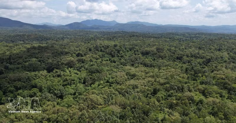 La Réserve naturelle d’Ea So, dans la province de Dak Lak. Photo : VNA.