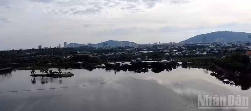 ho-bau-trung.jpg