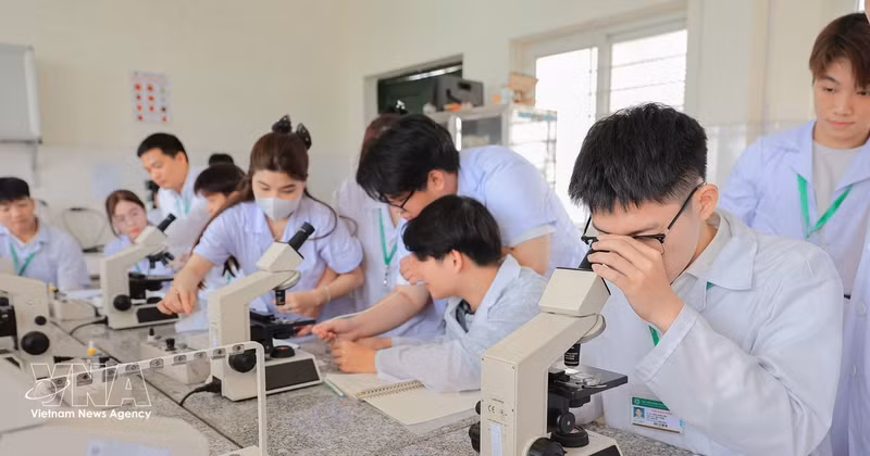 Des étudiants réalisent des analyses de cellules sanguines au microscope optique pour le diagnostic clinique des animaux. Photo : VNA.