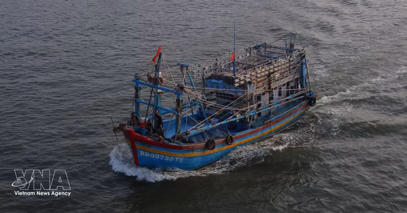 Des bateaux entrant et sortant du port de Song Doc (province de Ca Mau). Photo : VNA.