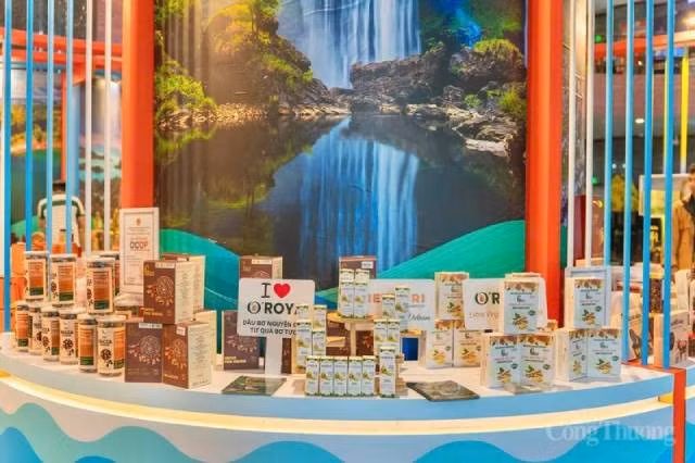 Gia Lai dispose d’une abondante source de matières premières pour l’industrie de transformation et d’une grande diversité de produits fabriqués à partir de l’agriculture locale. Photo : conthuong.vn