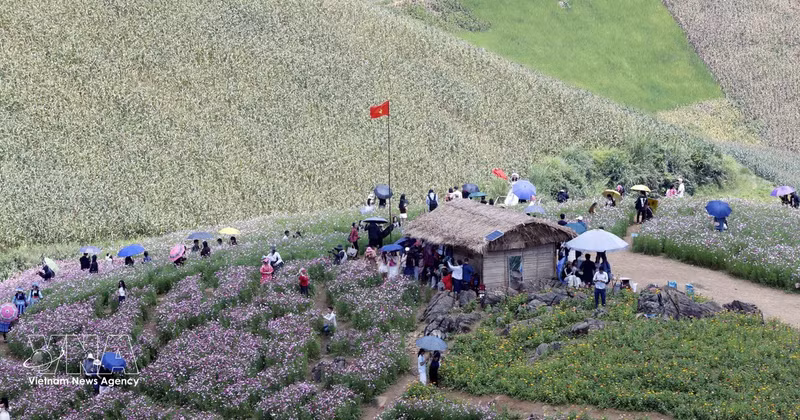 Du 31 août au 2 septembre, une série d’activités culturelles, sportives et touristiques s’est tenue à la porte frontière internationale de Long Sap, dans la commune de Long Sap, attirant de nombreux visiteurs et habitants des zones frontalières du Vietnam et du Laos. Photo : VNA.