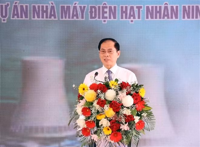 Le vice-Premier ministre Bui Thanh Son s'exprime. Photo: VNA