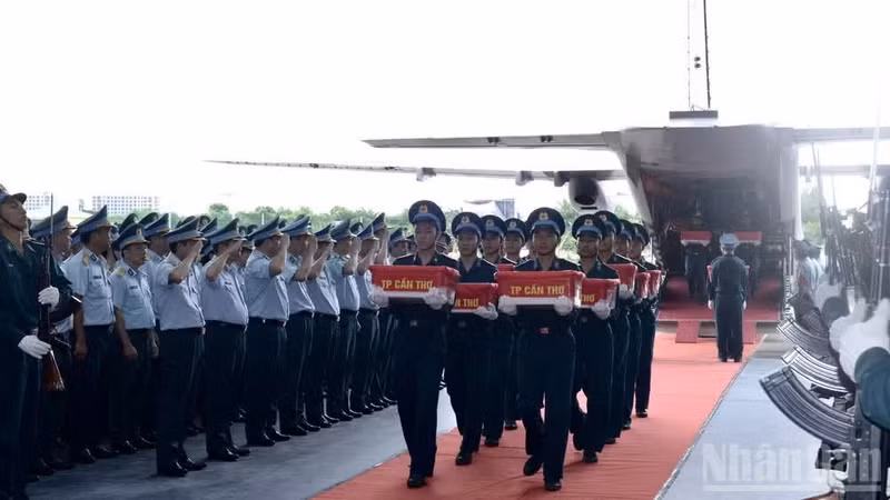 Transport des échantillons de restes de soldats morts pour la Patrie depuis l’avion. (Photo : THE DAI)