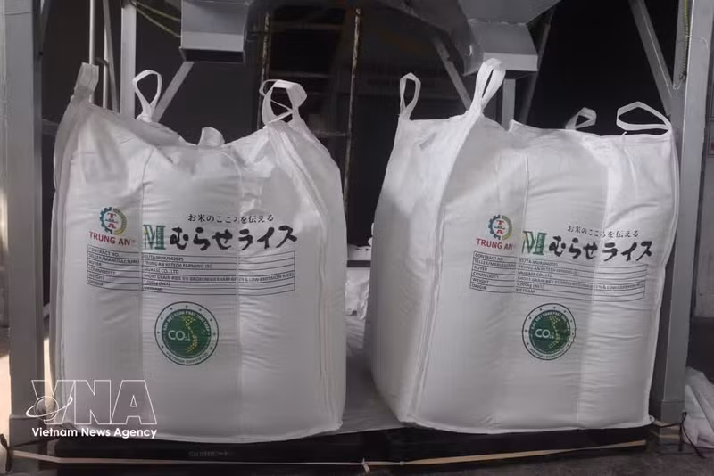 Le 5 juin 2025, Vietrisa, en coordination avec la société Trung An, dans la ville de Can Tho, a organisé la cérémonie d’exportation vers le Japon d’un premier lot de 500 tonnes de riz sous la marque « Riz vietnamien vert à faibles émissions ». Photo: VNA