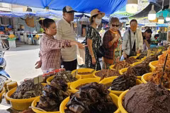 Les différentes sortes de sauces de poisson fermentées comptent parmi les produits très appréciés des visiteurs du marché de Tinh Bien. (Photo : Nhat Minh)
